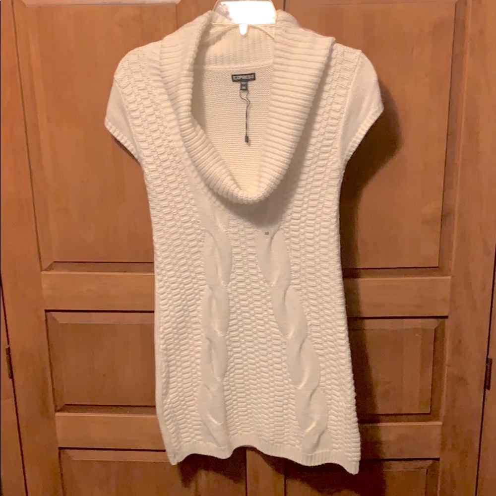 NEVER WORN | Express Knit Turtleneck Sweater Dress